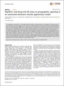 Wg/Wnt1 and Erasp link ER stress to proapoptotic signaling in an autosomal dominant retinitis pigmentosa model