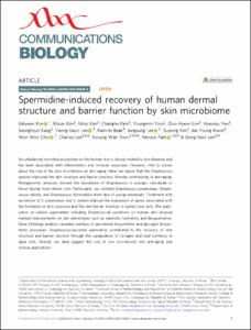 Spermidine-induced recovery of human dermal structure and barrier function by skin microbiome