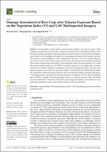 Damage Assessment of Rice Crop after Toluene Exposure Based on the Vegetation Index (VI) and UAV Multispectral Imagery