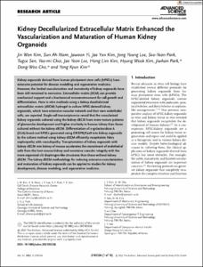 Kidney Decellularized Extracellular Matrix Enhanced the Vascularization and Maturation of Human Kidney Organoids