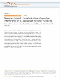 Nanomechanical characterization of quantum interference in a topological insulator nanowire