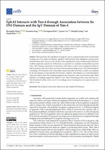 EphA2 Interacts with Tim-4 through Association between Its FN3 Domain and the IgV Domain of Tim-4