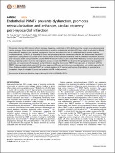 Endothelial PRMT7 prevents dysfunction, promotes revascularization and enhances cardiac recovery post-myocardial infarction