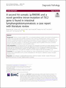 A second hit somatic (p.R905W) and a novel germline intron-mutation of TSC2 gene is found in intestinal lymphangioleiomyomatosis: a case report with literature review