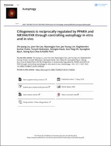 Ciliogenesis is reciprocally regulated by PPARA and NR1H4/FXR through controlling autophagy in vitro and in vivo