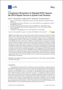 Cytoplasmic Restriction of Mutated SOD1 Impairs the DNA Repair Process in Spinal Cord Neurons