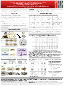 Untangling Lignin Degradation: An In Silico Approach for Identifying: Unknown Phenolic Compounds and Lignin Oligomers