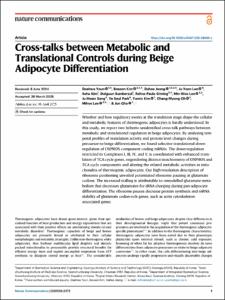Cross-talks between Metabolic and Translational Controls during Beige Adipocyte Differentiation