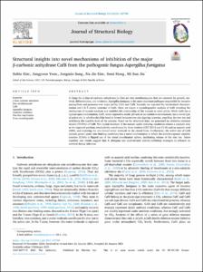Structural insights into novel mechanisms of inhibition of the major beta-carbonic anhydrase CafB from the pathogenic fungus Aspergillus fumigatus