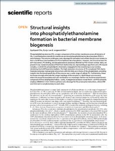 Structural insights into phosphatidylethanolamine formation in bacterial membrane biogenesis