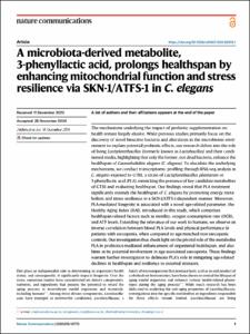A microbiota-derived metabolite, 3-phenyllactic acid, prolongs healthspan by enhancing mitochondrial function and stress resilience via SKN-1/ATFS-1 in C. elegans