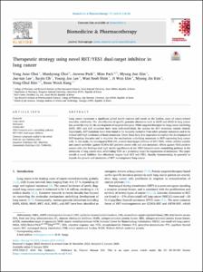 Therapeutic strategy using novel RET/YES1 dual-target inhibitor in lung cancer