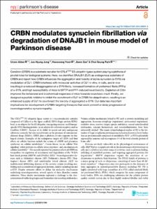 CRBN modulates synuclein fibrillation via degradation of DNAJB1 in mouse model of Parkinson disease