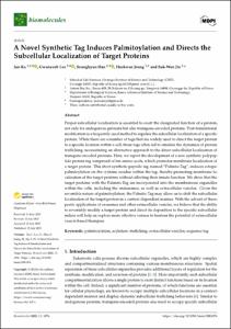 A Novel Synthetic Tag Induces Palmitoylation and Directs the Subcellular Localization of Target Proteins