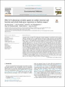 Effect of beta-adrenergic receptor agents on cardiac structure and function and whole-body gene expression in Daphnia magna