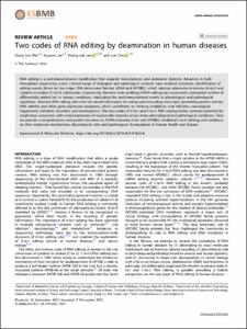 Two codes of RNA editing by deamination in human diseases