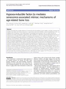 Hypoxia-inducible factor-2 alpha mediates senescence-associated intrinsic mechanisms of age-related bone loss