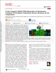 In Situ Cryogenic HAADF-STEM Observation of Spontaneous Transition of Ferroelectric Polarization Domain Structures at Low Temperatures