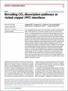 Revealing CO2 dissociation pathways at vicinal copper (997) interfaces