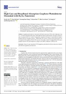 High Gain and Broadband Absorption Graphene Photodetector Decorated with Bi2Te3 Nanowires