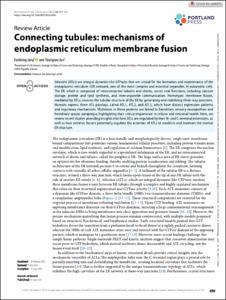 Connecting tubules: mechanisms of endoplasmic reticulum membrane fusion