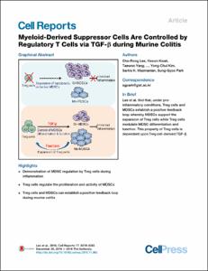 Myeloid-Derived Suppressor Cells Are Controlled by Regulatory T Cells via TGF-beta during Murine Colitis