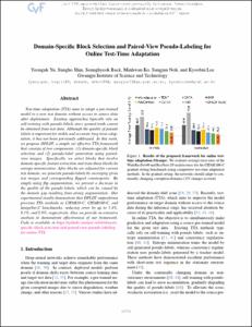 Domain-Specific Block Selection and Paired-View Pseudo-Labeling for online Test-Time Adaptation