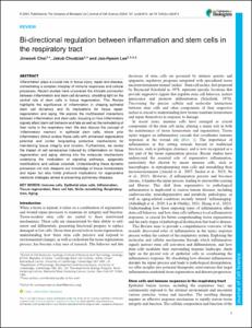 Bi-directional regulation between inflammation and stem cells in the respiratory tract