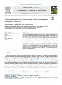 Biochar energy prediction from different biomass feedstocks for clean energy generation