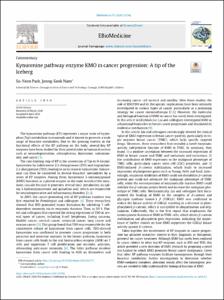Kynurenine pathway enzyme KMO in cancer progression: A tip of the Iceberg