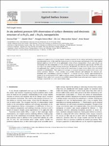In situ ambient pressure XPS observation of surface chemistry and electronic structure of alpha-Fe2O3 and gamma-Fe2O3 nanoparticles