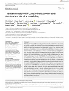 The matricellular protein CCN5 prevents adverse atrial structural and electrical remodelling