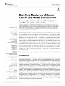 Real-Time Monitoring of Cancer Cells in Live Mouse Bone Marrow