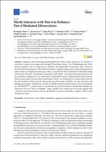 Mertk Interacts with Tim-4 to Enhance Tim-4-Mediated Efferocytosis