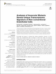 Analyses of Avascular Mutants Reveal Unique Transcriptomic Signature of Non-conventional Endothelial Cells