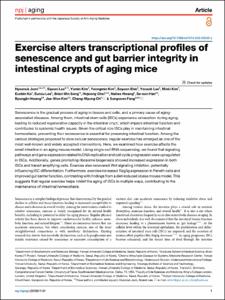 Exercise alters transcriptional profiles of senescence and gut barrier integrity in intestinal crypts of aging mice