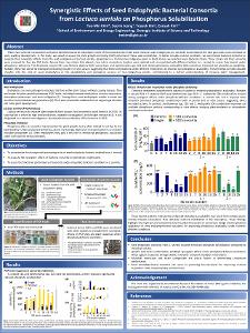 Synergistic Effects of Seed Endophytic Bacterial Consortia from Lactuca serriola on Phosphorus Solubilization