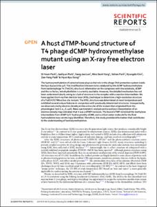 A host dTMP-bound structure of T4 phage dCMP hydroxymethylase mutant using an X-ray free electron laser