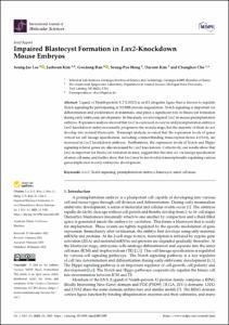 Impaired Blastocyst Formation in Lnx2-Knockdown Mouse Embryos