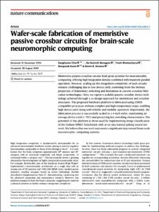 Wafer-scale fabrication of memristive passive crossbar circuits for brain-scale neuromorphic computing