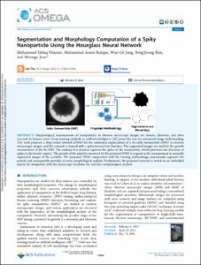 Segmentation and Morphology Computation of a Spiky Nanoparticle Using the Hourglass Neural Network