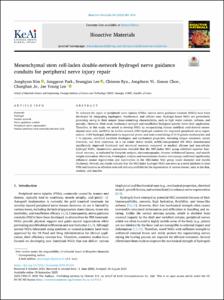 Mesenchymal stem cell-laden double-network hydrogel nerve guidance conduits for peripheral nerve injury repair
