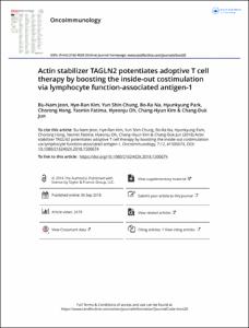 Actin stabilizer TAGLN2 potentiates adoptive T cell therapy by boosting the inside-out costimulation via lymphocyte function-associated antigen-1