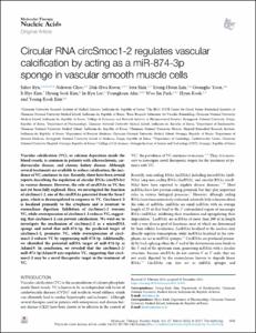 Circular RNA circSmoc1-2 regulates vascular calcification by acting as a miR-874-3p sponge in vascular smooth muscle cells