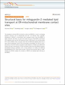 Structural basis for mitoguardin-2 mediated lipid transport at ER-mitochondrial membrane contact sites