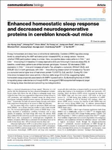 Enhanced homeostatic sleep response and decreased neurodegenerative proteins in cereblon knock-out mice