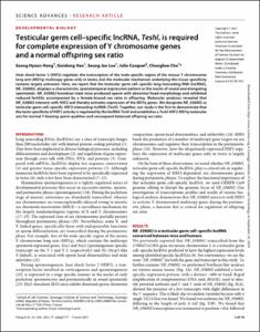 Testicular germ cell-specific lncRNA, Teshl, is required for complete expression of Y chromosome genes and a normal offspring sex ratio