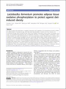 Lactobacillus fermentum promotes adipose tissue oxidative phosphorylation to protect against diet-induced obesity