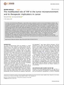 The multifaceted role of YAP in the tumor microenvironment and its therapeutic implications in cancer