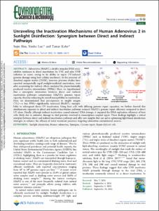 Unraveling the Inactivation Mechanisms of Human Adenovirus 2 in Sunlight Disinfection: Synergism between Direct and Indirect Pathways